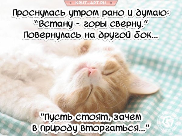 Раз Ромашка, два Ромашка