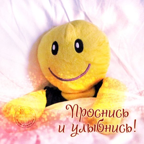 Доброе утро котик