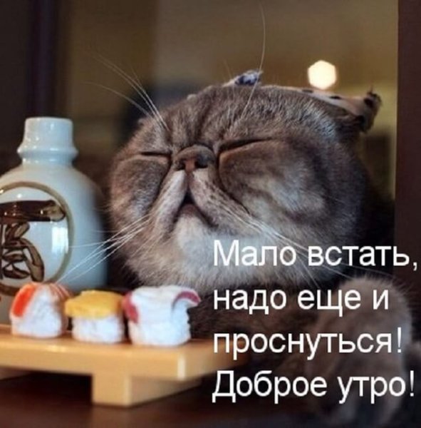 Позитивные пожелания на день