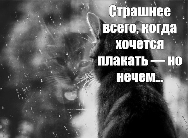 Страшнее всего когда хочется плакать но нечем