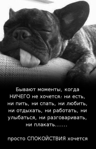 Состояние ничего не хочется
