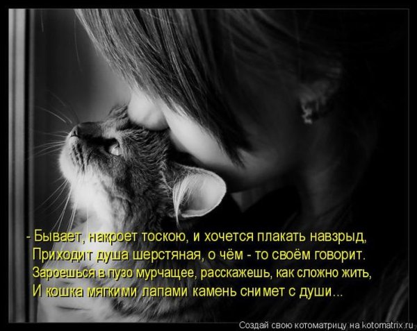 Тоска на душе