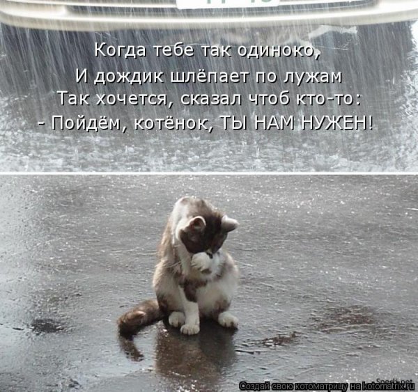Цитаты про дождь прикольные