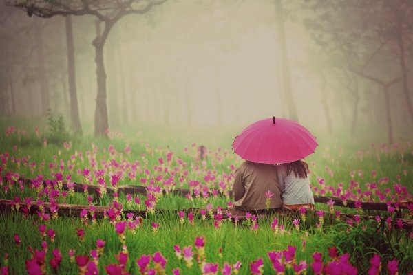 Позитив природа