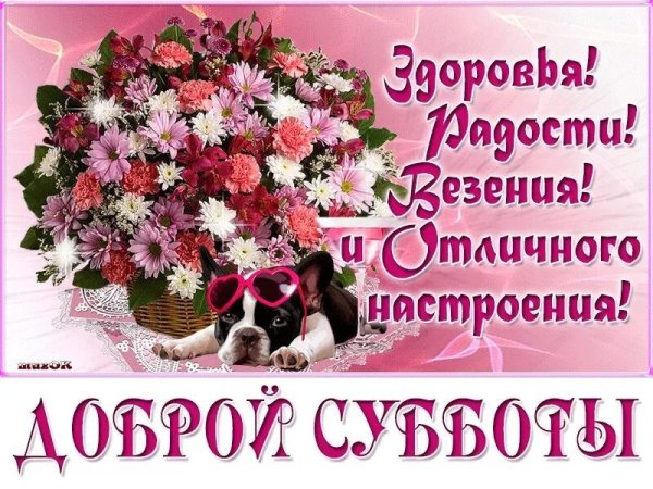 Хорошего субботнего дня и отличного настроения