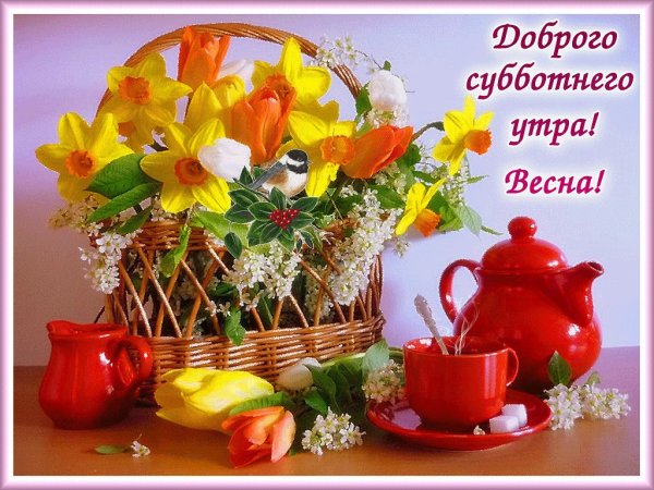 С добрым весенним субботним утром