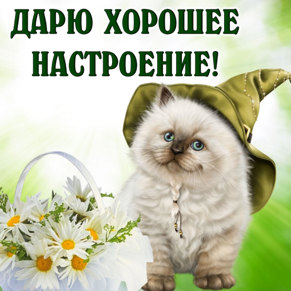 Отличного настроения