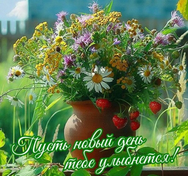 Прекрасного летнего дня