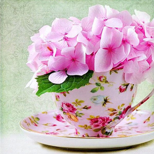 Красивые цветы в чашке