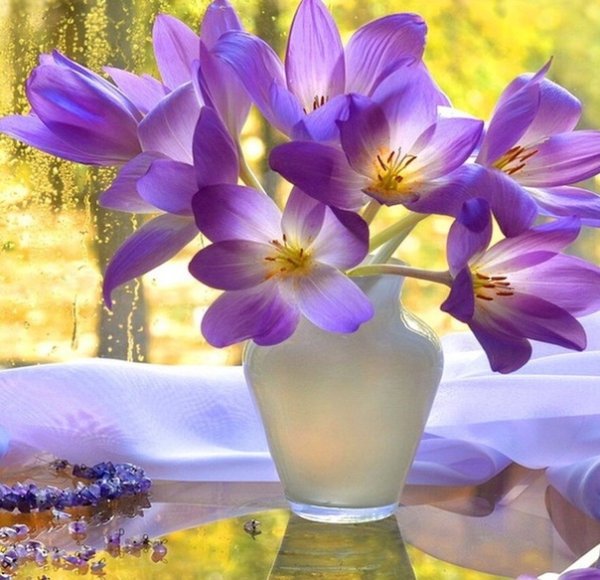 Весенние цветы с пожеланиями доброго утра