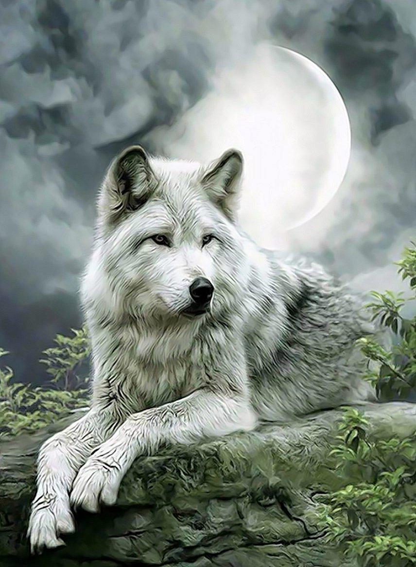 Волки, аватары и картинки с волками, скачать аватарки с хищными животными