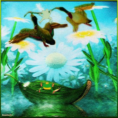 Приключения лягушки путешественницы