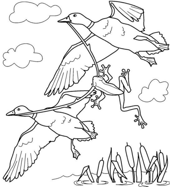 Гаршин лягушка-путешественница рисовать легко