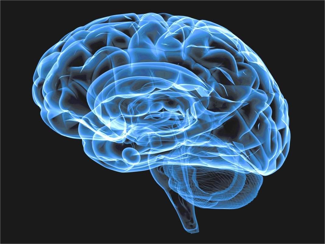 Мозг человека без кислорода. Голубой мозг. Прозрачный мозг.