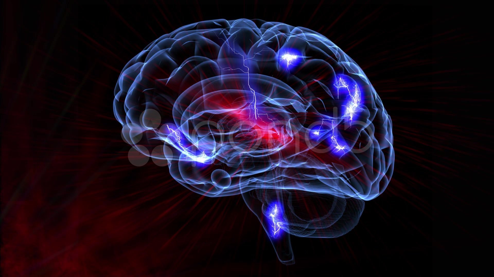 Brain 8 1. Красивое изображение мозга. Мозг на темном фоне.