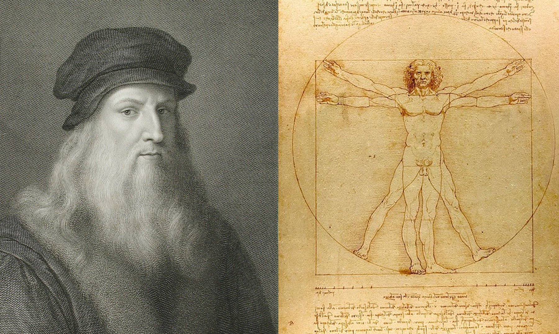 Рисунки эпохи возрождения. Эпоха Возрождения Леонардо Давинчи. Леонардо да Винчи портрет. Великий художник Леонардо да Винчи.