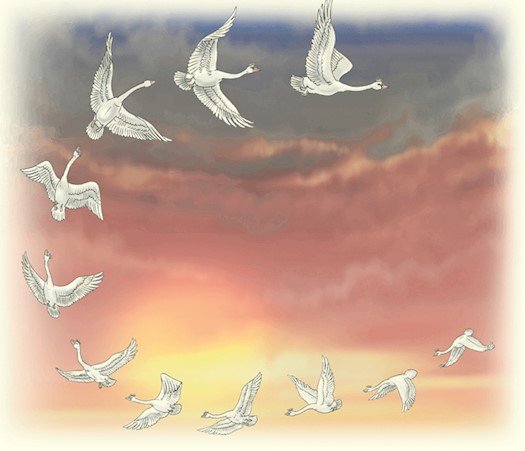 Сказочная Дикие лебеди фон для презентации