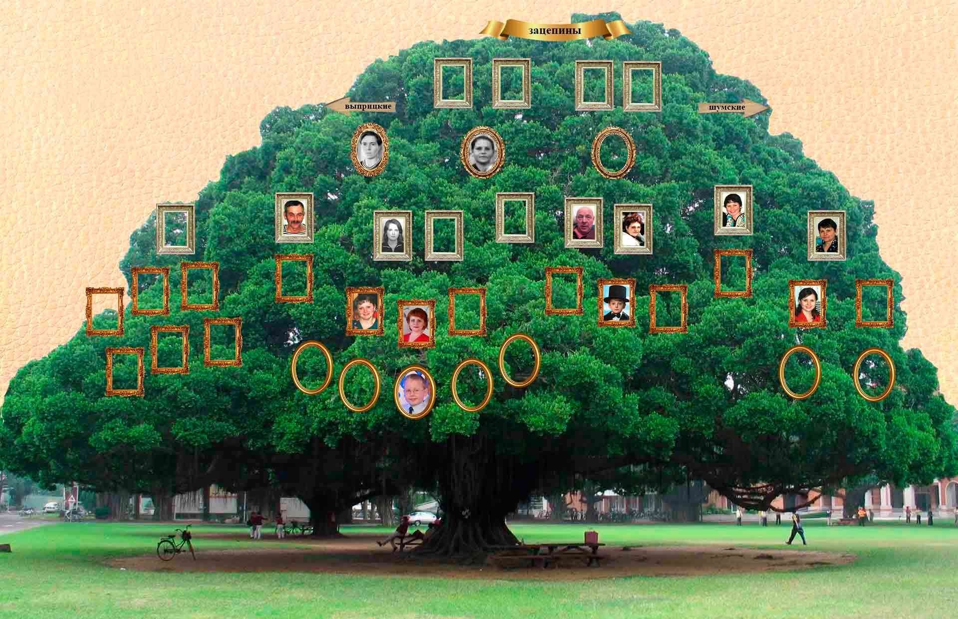 Родословное дерево. Семейное дерево. Красивое дерево для родословной. Древо семьи фото. Красивое семейное дерево.