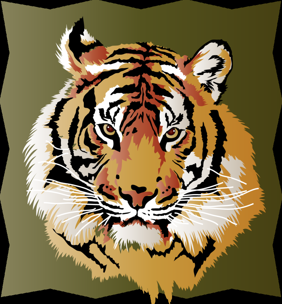 Год тигра 2025. Тигр. Тигр рисунок. Морда тигра. Тигр вектор.