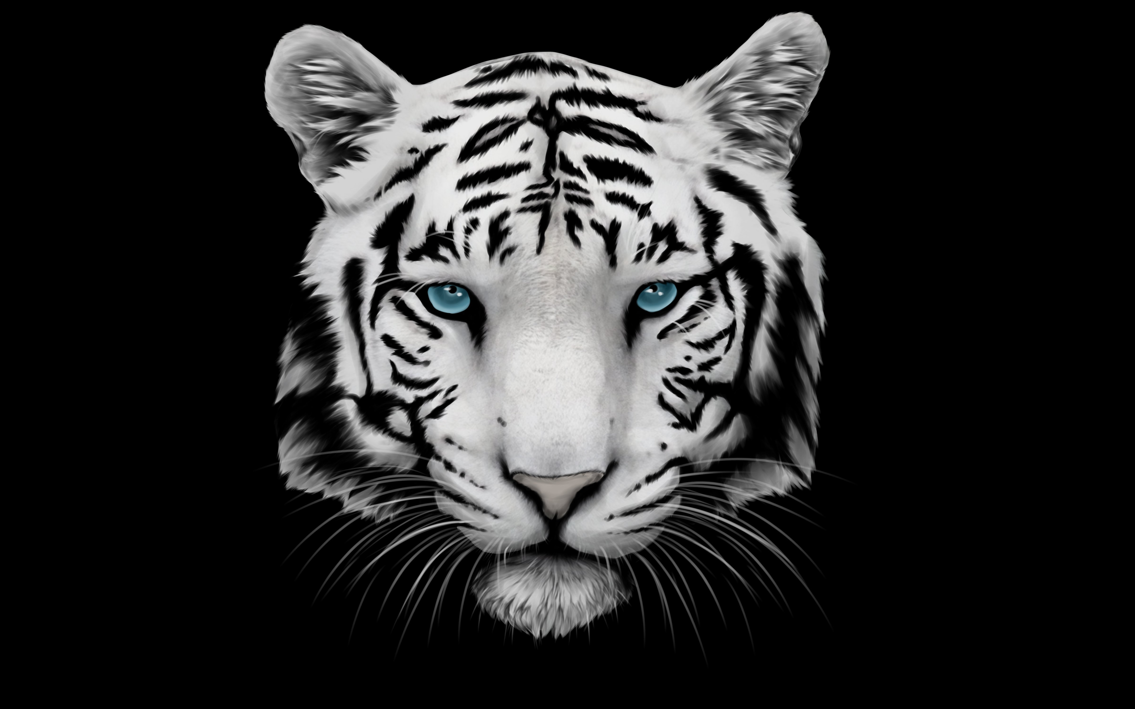 Картинки для печати высокое разрешение. Черный тигр Кишан. Тигр черно белый. Тигр морда. Тигр на черном фоне.