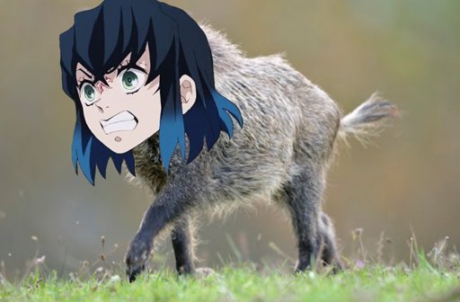 Иносукэ хасибира