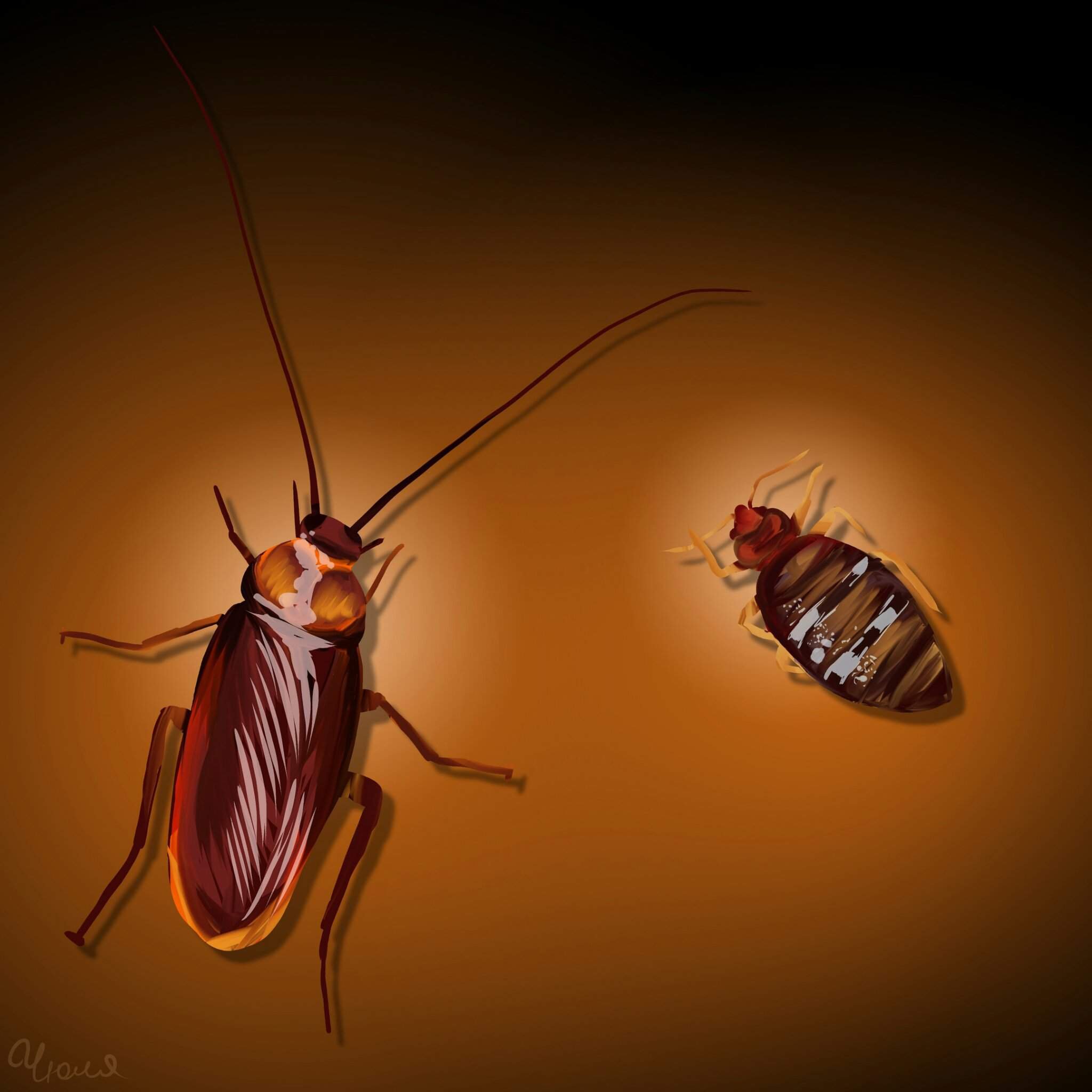 Картинки с тараканами