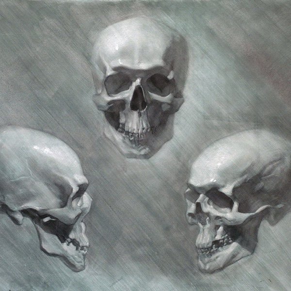 Череп анфас Академический