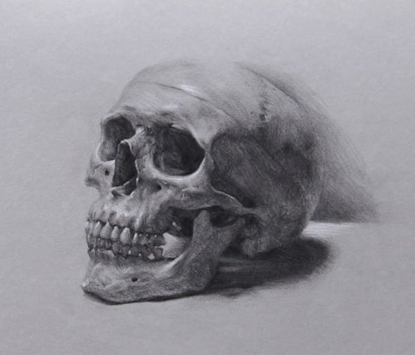 Череп рисунок карандашом