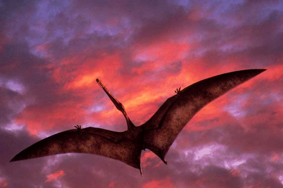 Представители летающих динозавров