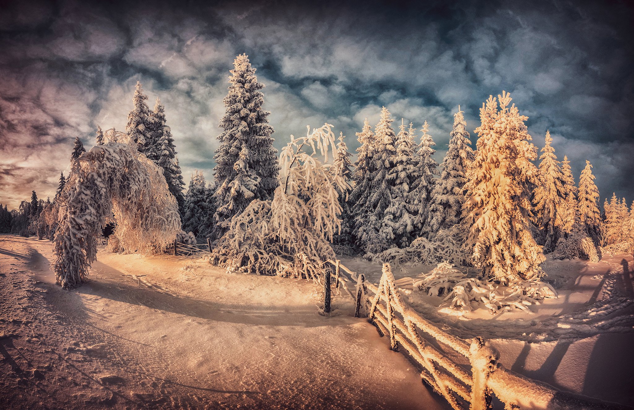 красивые зимние фото природы