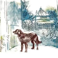 Урок "кусака"