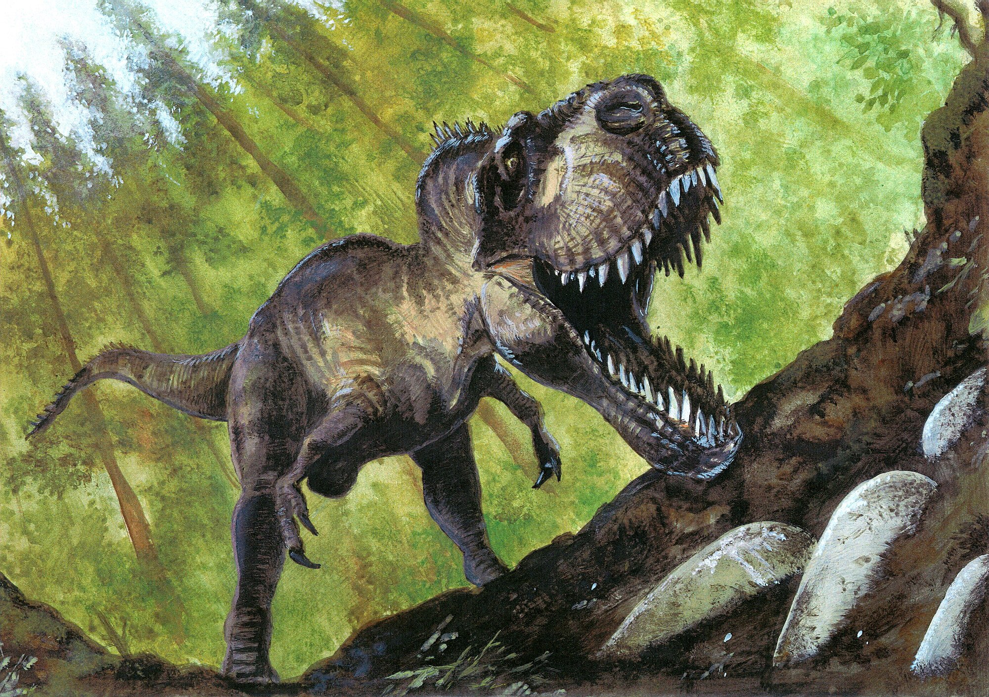 Динозавры это животные. Тираннозавр Буриан. Тираннозавр рекс. Шерстистый Тиранозавр. Зденек Буриан Тарбозавр.