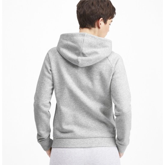 Серый худи Puma 2xl