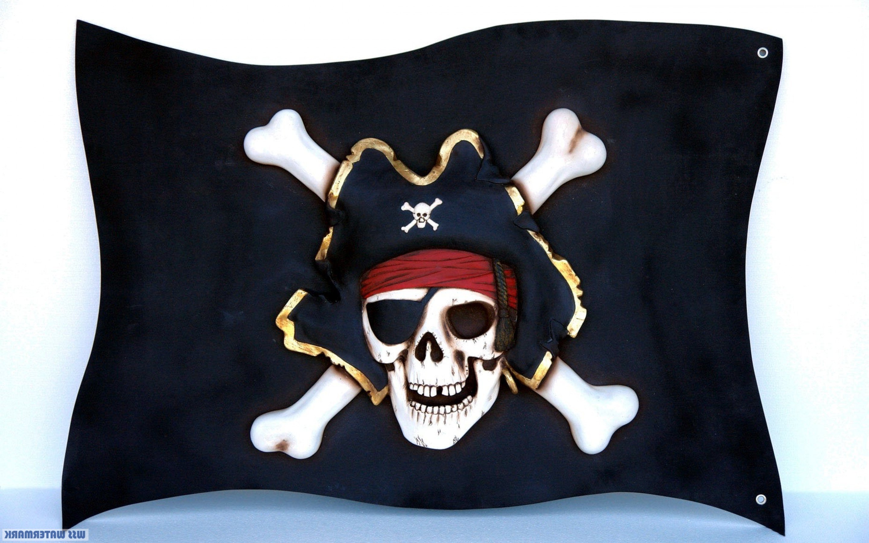 Пират 1 без. Веселый Роджер остров сокровищ. Пиратский флаг веселый Роджер. Роджер пират. Веселый Роджер пираты Карибского моря.
