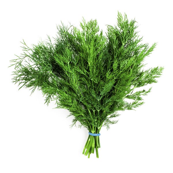 Локарно укроп