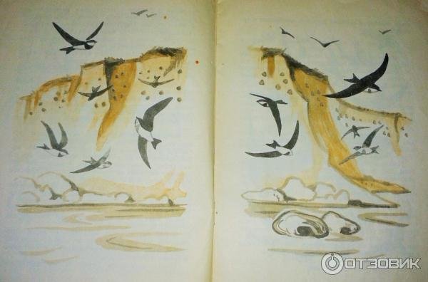 Отзыв Стрижонок скрип