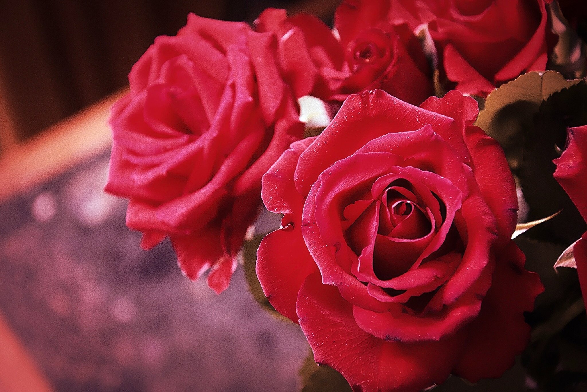 Обои розочки. Красивые розы. Красные розы.