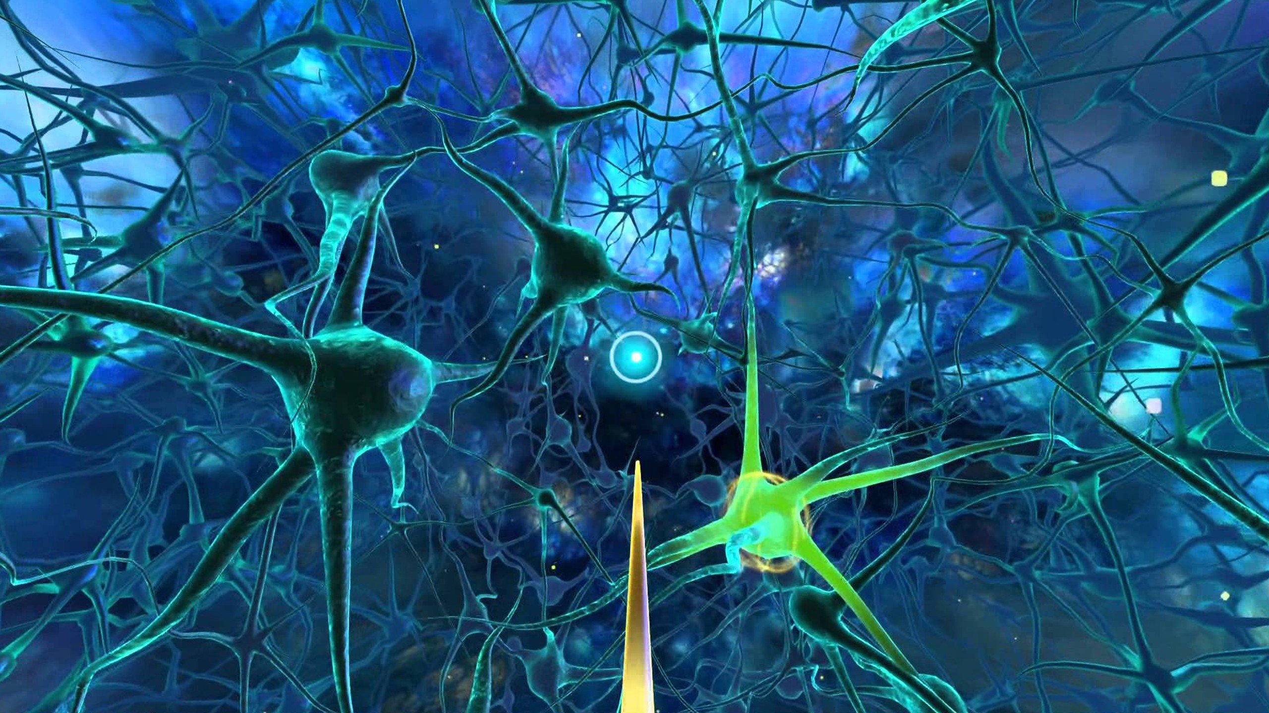 Пирамидные Нейроны гиппокампа