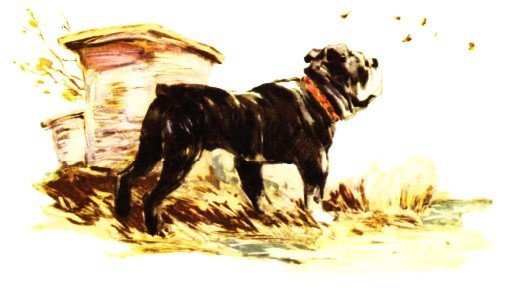 Толстой Булька герои