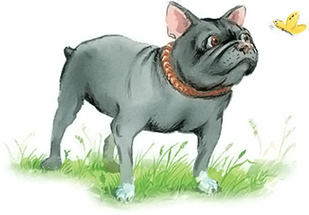 Лев Николаевич толстой булка