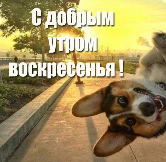 Прикольные поздравления с воскресеньем