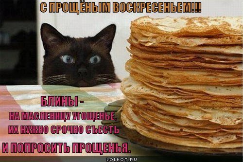 Прощённое воскресенье кот блины