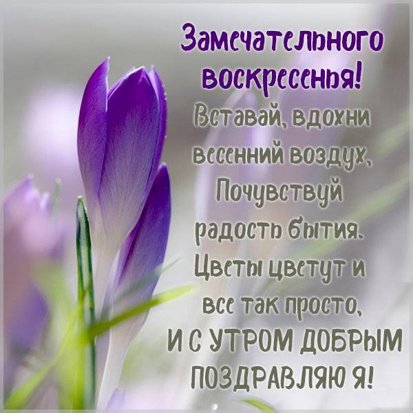 Весеннее утро стих
