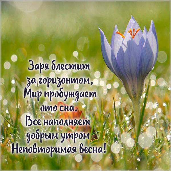 Доброе утро воскресенье Весна
