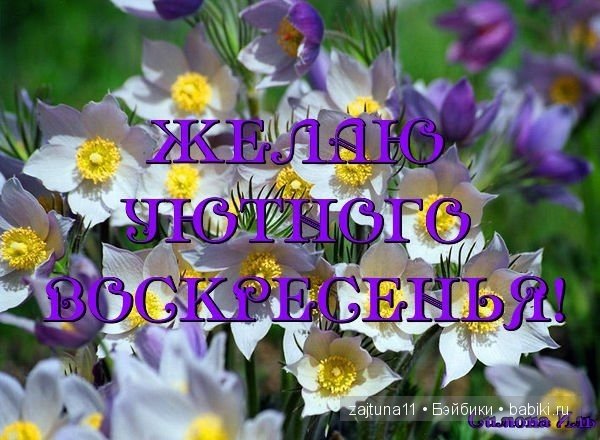 Поздравление с добрым утром воскресенье