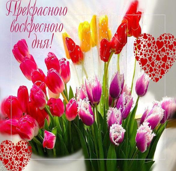 Открытки хорошего воскресенья