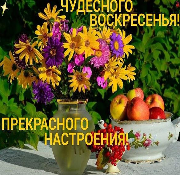 Солнечного воскресенья и отличного настроения
