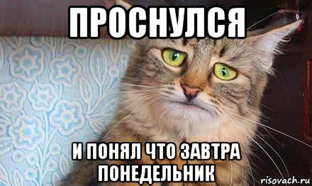 Воскресенье завтра понедельник
