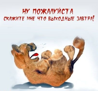 Работа в выходные приколы