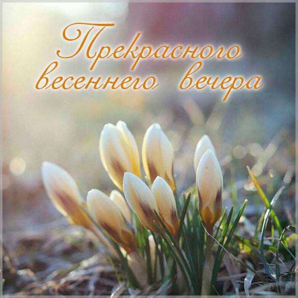 С первым весенним воскресеньем